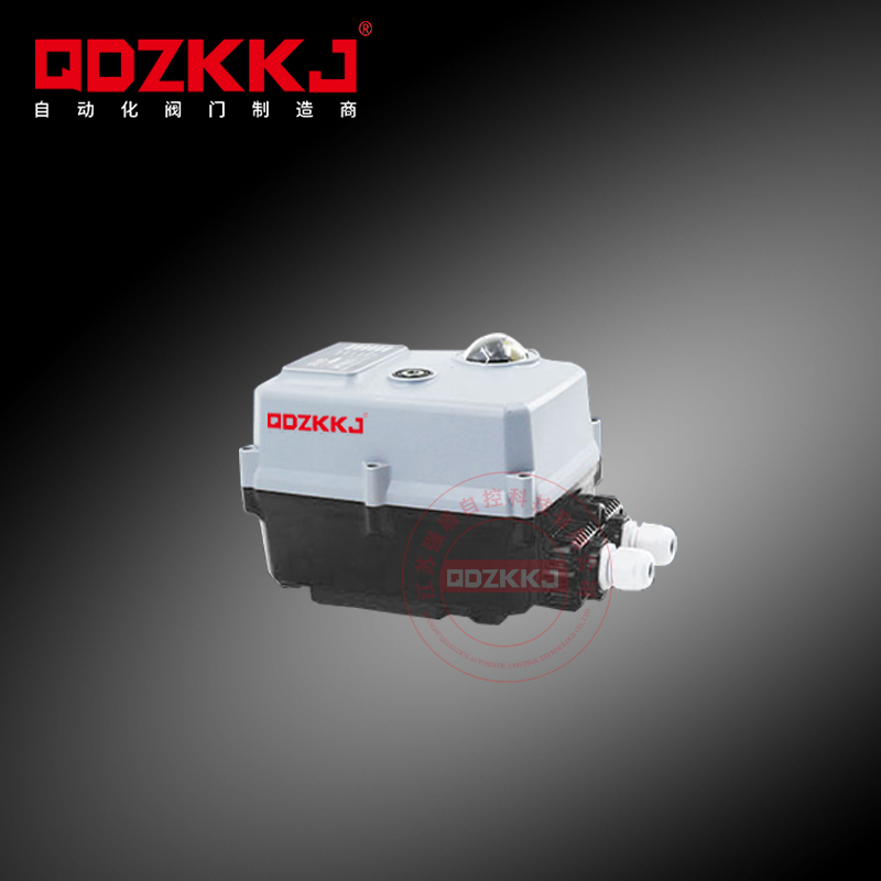 調(diào)節(jié)型電動執(zhí)行器 QD-T02