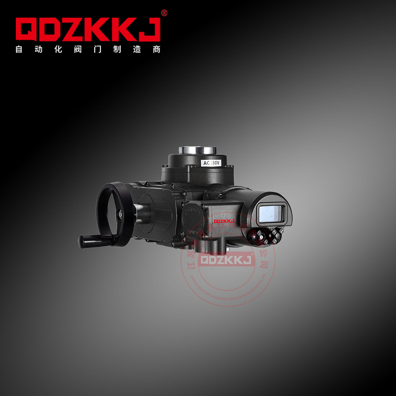 防爆電動執(zhí)行器 QD-EX100